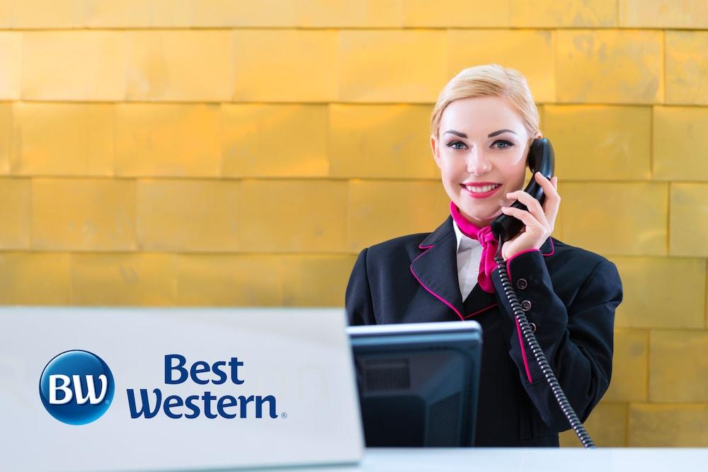 Best Western Hopkinsville Ky - Brand New Rooms Экстерьер фото