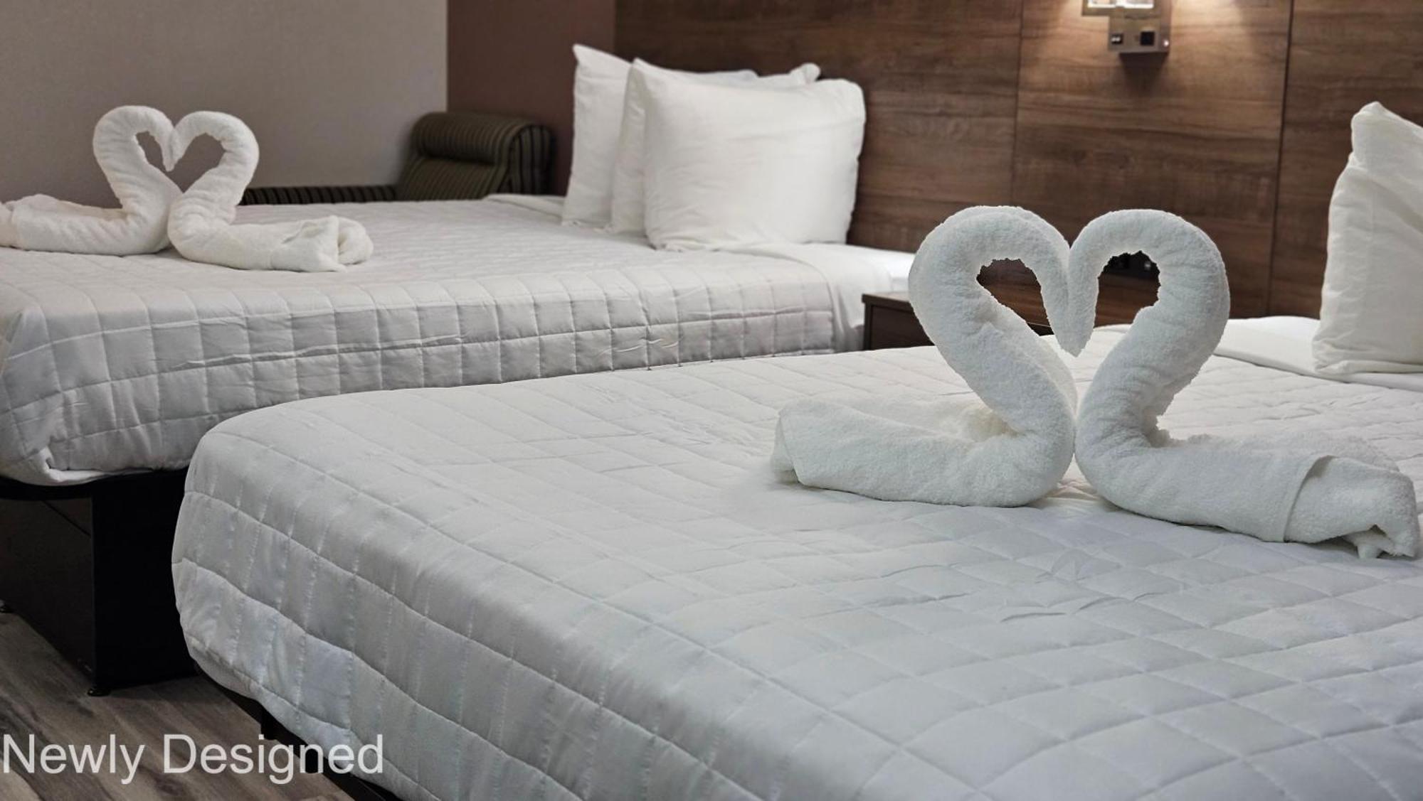 Best Western Hopkinsville Ky - Brand New Rooms Экстерьер фото